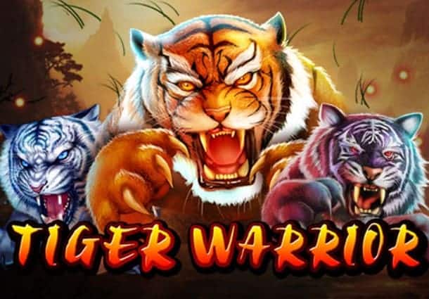 pg_slot-The-Tiger-Warrior