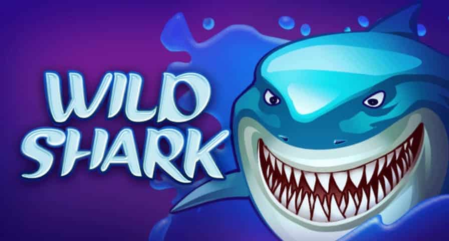 PGSLOT-Wild Shark