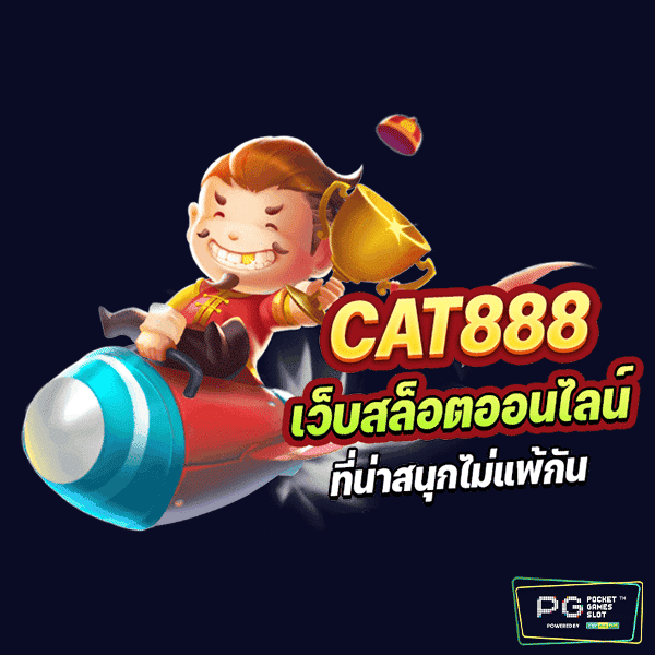 cat888