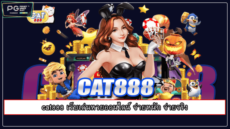 cat888