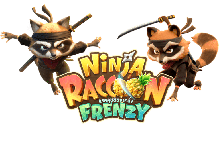 Ninja Raccoon Frenzy