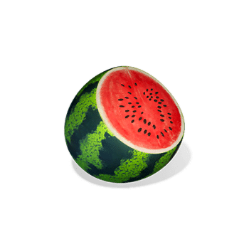 ninja-raccoon-frenzy_h_watermelon