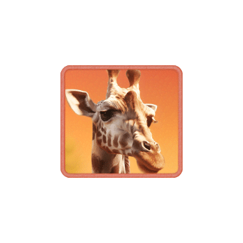 safari-wilds_symbol_h_giraffe_a