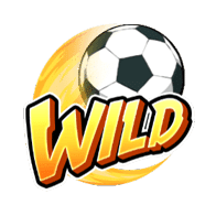 shaolin-soccer_s_wild